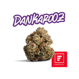 Dankarooz #10 by Fade Co.