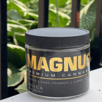 Queen of The South by Magnus Premium