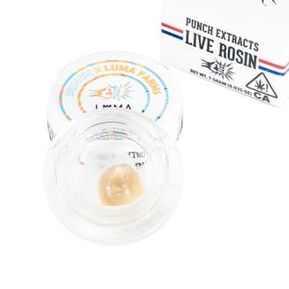 Punch: Luma S Dirty Z