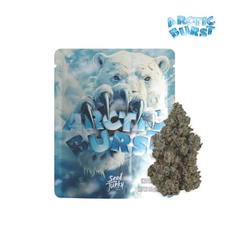Seed Junky Genetics — Arctic Burst