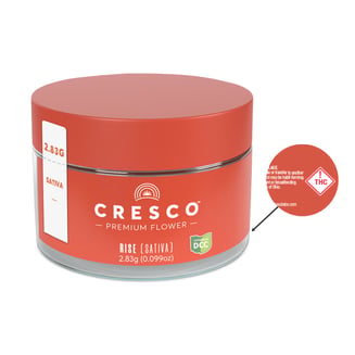 Purple Churro [2.83g] by Cresco™