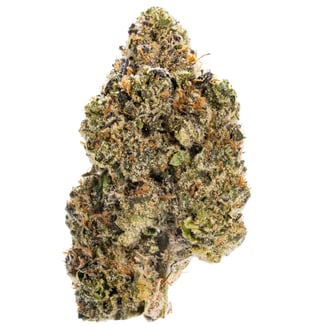 West Coast Cure: Amaretto Sherbet