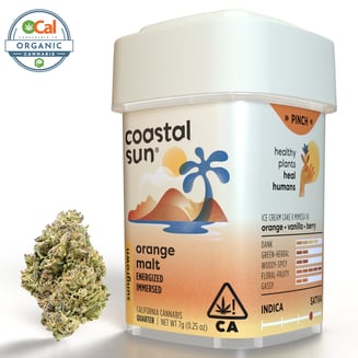 Coastal Sun — Orange Malt