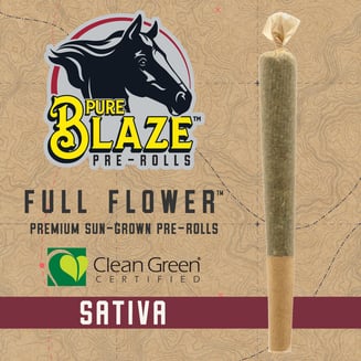 Keep Tahoe Blue [1g] by Pure Blaze