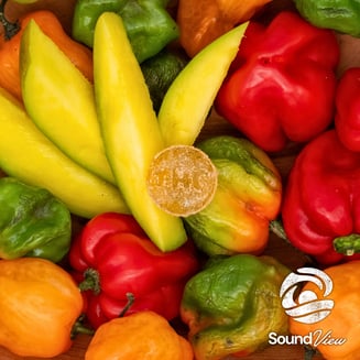 Mango Habanero Gummies T94 (H) 00008 by SoundView