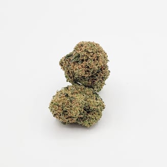 Back to Banana (Mixed Pheno) by Sacred Sun Farms