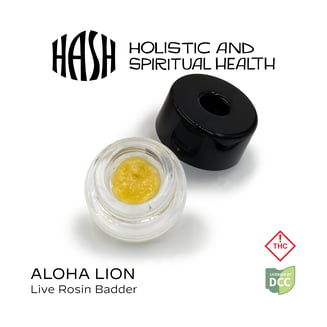 Aloha Lion by HASH