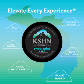 Sweet Mint [20pk] (200mg) by KSHN Pouch Co