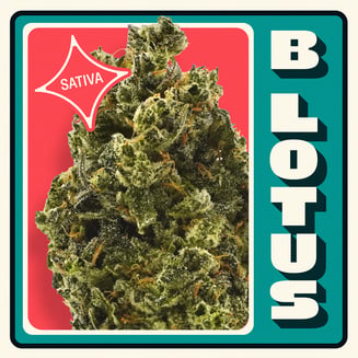 B Lotus [14.15g] by Neighborgoods