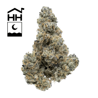 GMO by Harbor House Collective