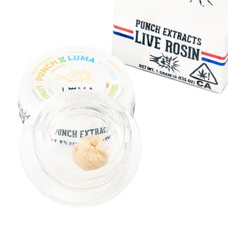 Punch — Luma S The Beach