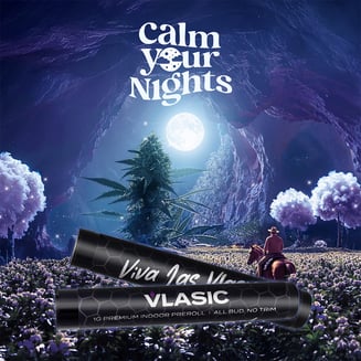 Calm Your Nights [1g] by Vlasic Flower