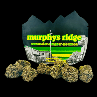 Zamnesia by Murphy's Ridge