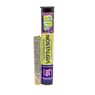 Purple Haze [1g] by Nostalgia