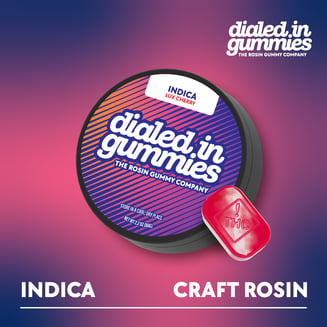100mg - Lux Cherry - Rosin Gummies (10pk) by Dialed In Gummies