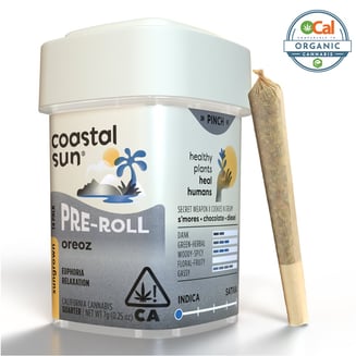 Coastal Sun — Cream Cookiez