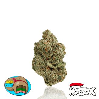 Hotbox — Kush Cream