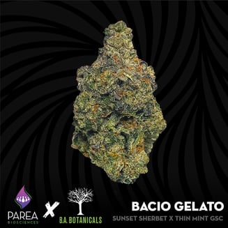 Bacio Gelato by Parea