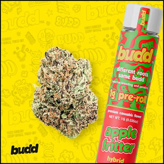 Apple Fritter [1g] by budd