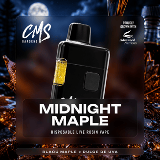 cms gardens disposable vape Vapes — Rhode Island Cannabis Menus lost Mary mo5000 Flavours:Blackberry Ice - 20mg Nicotine Over 50K Puffs，5 Nicotine