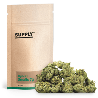 Mountain Apple by Supply™