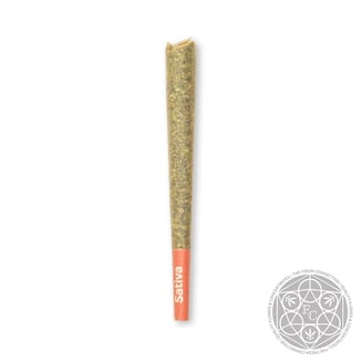 Mucho Melon [1g] by Fresh Connection
