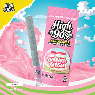 HIGH 90s — Guava Gush
