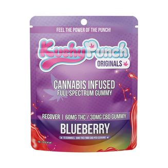 Kushy Punch — Blueberry - Recover