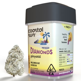 Coastal Sun — Pinyatti