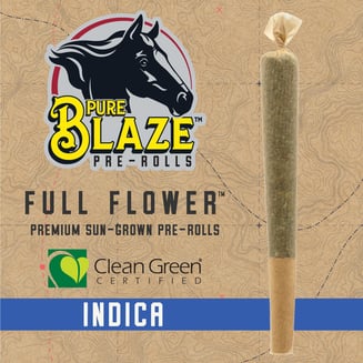 Happy Camper [1g] by Pure Blaze