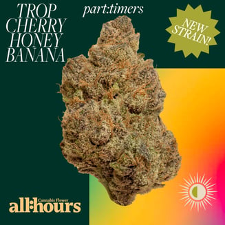 all:hours Trop Cherry Honey Bananas part:timers 41624 by all:hours