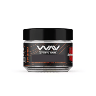 Z Cube by WAV