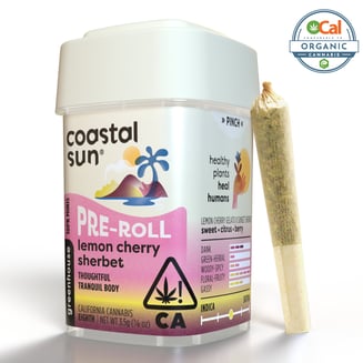 Coastal Sun: Lemon Cherry Sherbet