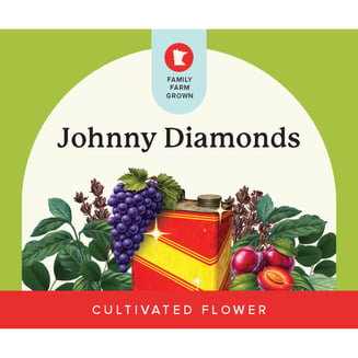 Signature Cultivar-IX | Verist Fields | Johnny Diamonds | 3.5g by Verist Fields