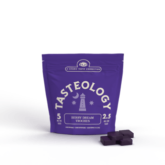 Berry Dream 5mg THC | 2.5mg CBN | 10pk (50mg THC/25mg CBN) by Tasteology