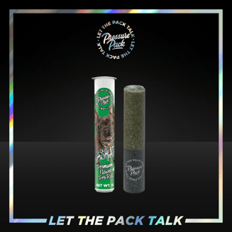 Kashlato [1g] by Pressure Pack