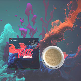 Tutti — Northern Lights