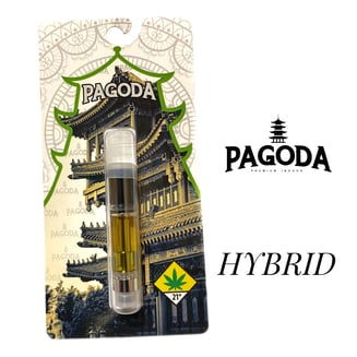 Focus by Pagoda