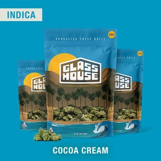 Glass House Farms — Cocoa Cream