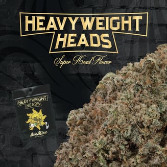 Sunshine by Heavyweight Heads