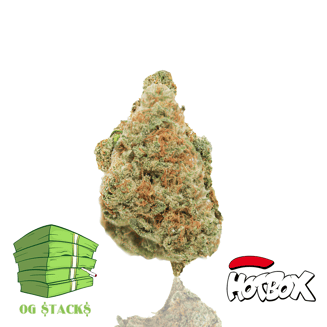 Hotbox — Paris OG