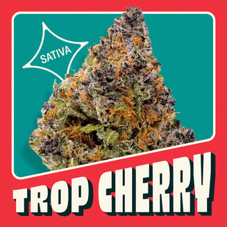 Trop Cherry [14.15g] by Neighborgoods