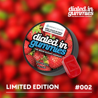 100mg - Dulce de Fresa - Rosin Gummies (10pk) by Dialed In Gummies