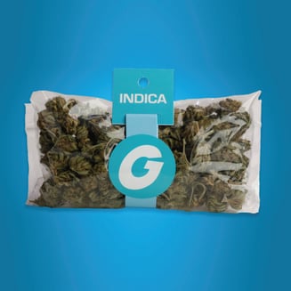 N.L. Skunk by Giant