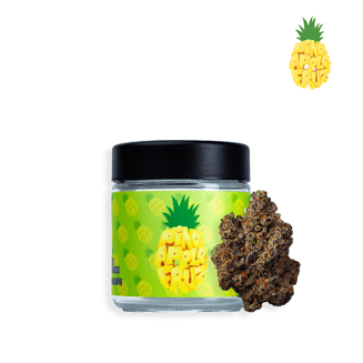 Pineapple Fruz by Seed Junky Genetics