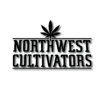 Yoda OG [1g] by Northwest Cultivators
