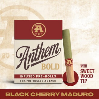 Bold Infused Black Cherry Maduro [2.5g pack] by Anthem