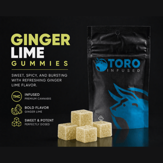 Ginger Lime [20pk] (100mg) by Toro Infused