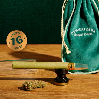 Afternoon Delight  [7g] by Dogwalkers