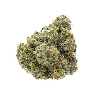 Grapefruit Durban by Terrapin